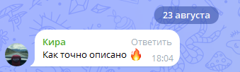 Скриншот отзыва клиента № 221